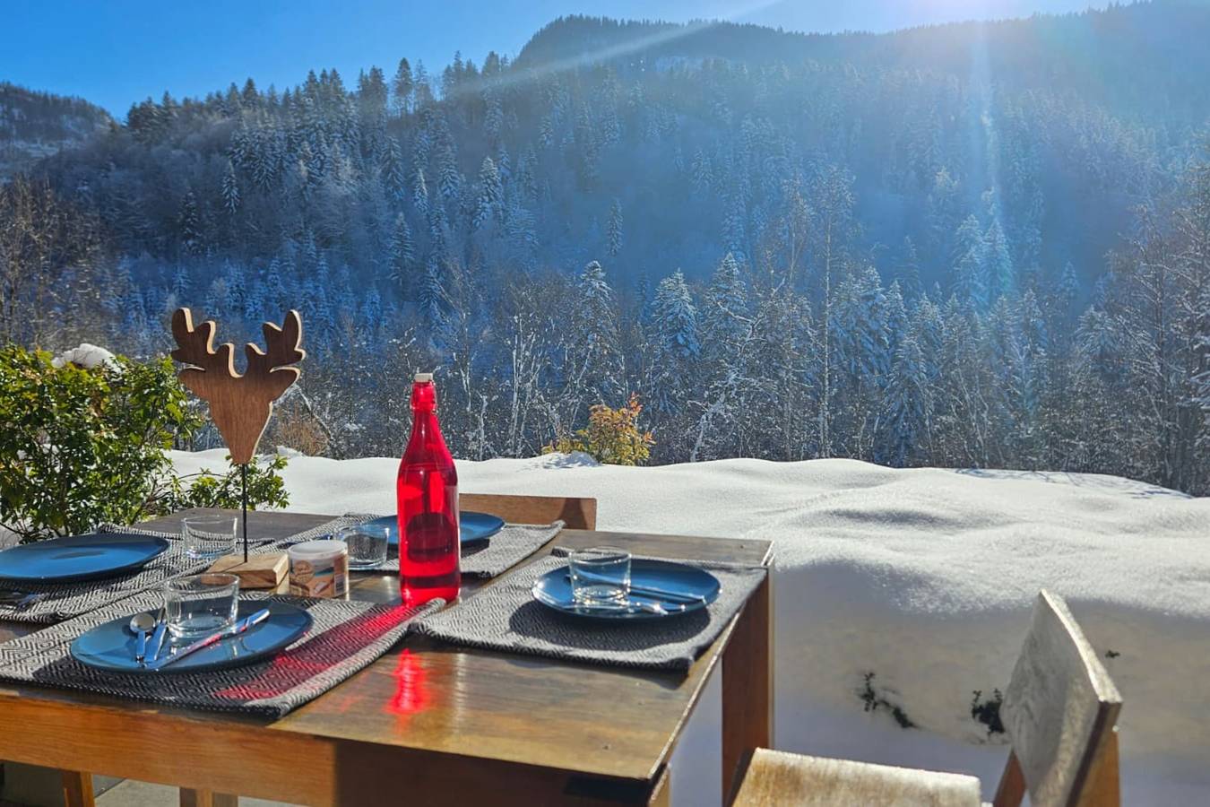 Ganze Wohnung, Ferienwohnung für 8 Personen mit Terrasse in Saint-Jean-de-Sixt, Annecy und Umgebung