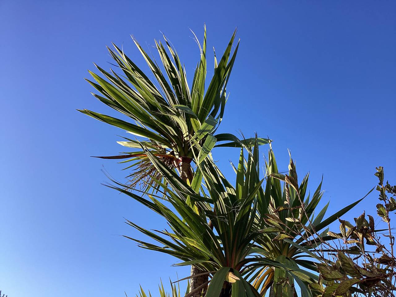Seascape in Dumfries and Galloway