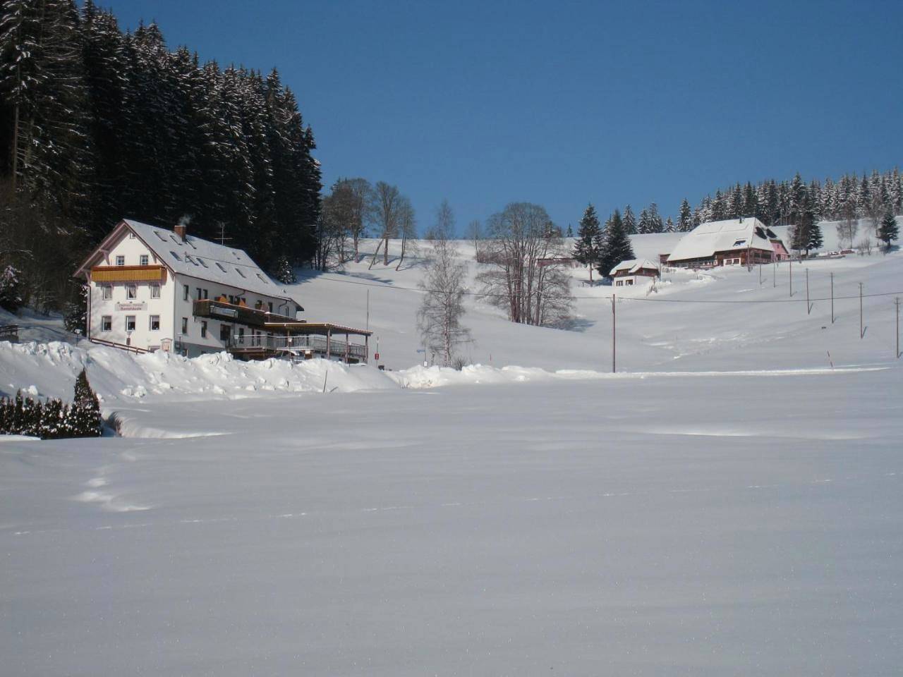 One-Bedroom Apartment with Balcony in Schwärzenbach (Titisee-Neustadt), Titisee-Neustadt