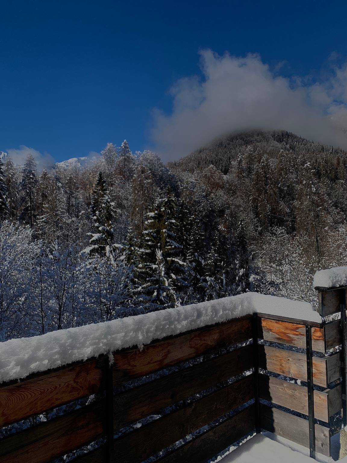 Ganze Wohnung, Ferienwohnung 'Bruna' mit Bergblick, privater Terrasse und Wi-Fi in Forno di Zoldo, Val di Zoldo