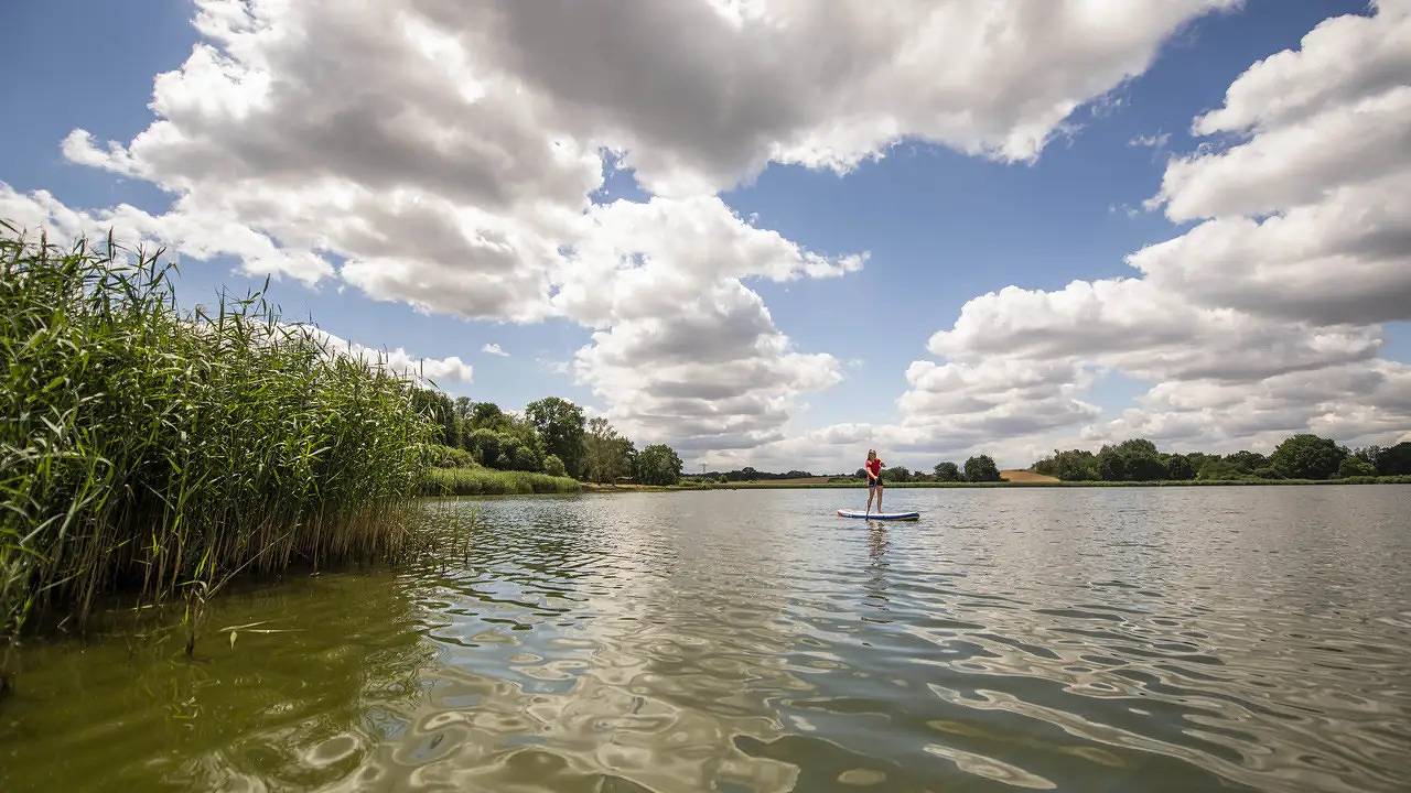 Geheel vakantieappartement, Vakantieappartement voor 3 personen met tuin in Moritzburg, Meissen Region