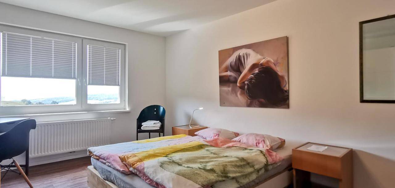 Ganze Wohnung, Xxl Ferienwohnung Belle Etage bis 14 Personen nahe Waldshut in Waldshut-Tiengen, Südschwarzwald