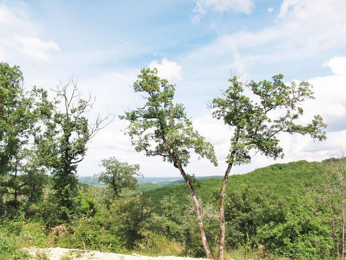 Ferienhaus für 3 Personen, mit Ausblick und Garten sowie Terrasse in Occitanie - 3