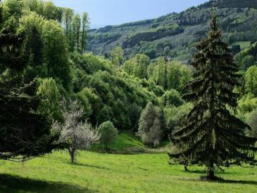 Bauernhof für 4 Personen, mit Pool und Sauna, mit Haustier im Elsass