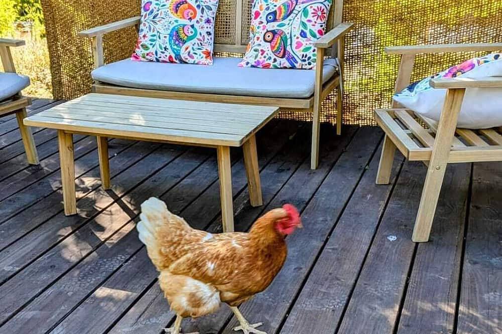 Maisonnette en forêt · terrasse et Bbq · ânes et rando 5 min centre Forcalquier in Forcalquier, Parc naturel régional du Luberon