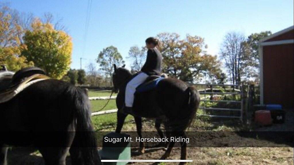 Beautiful Bi-level. Game room with pool table, 5 Uhdtvs, Wifi. Central heat/air. in Bushkill, Pike County