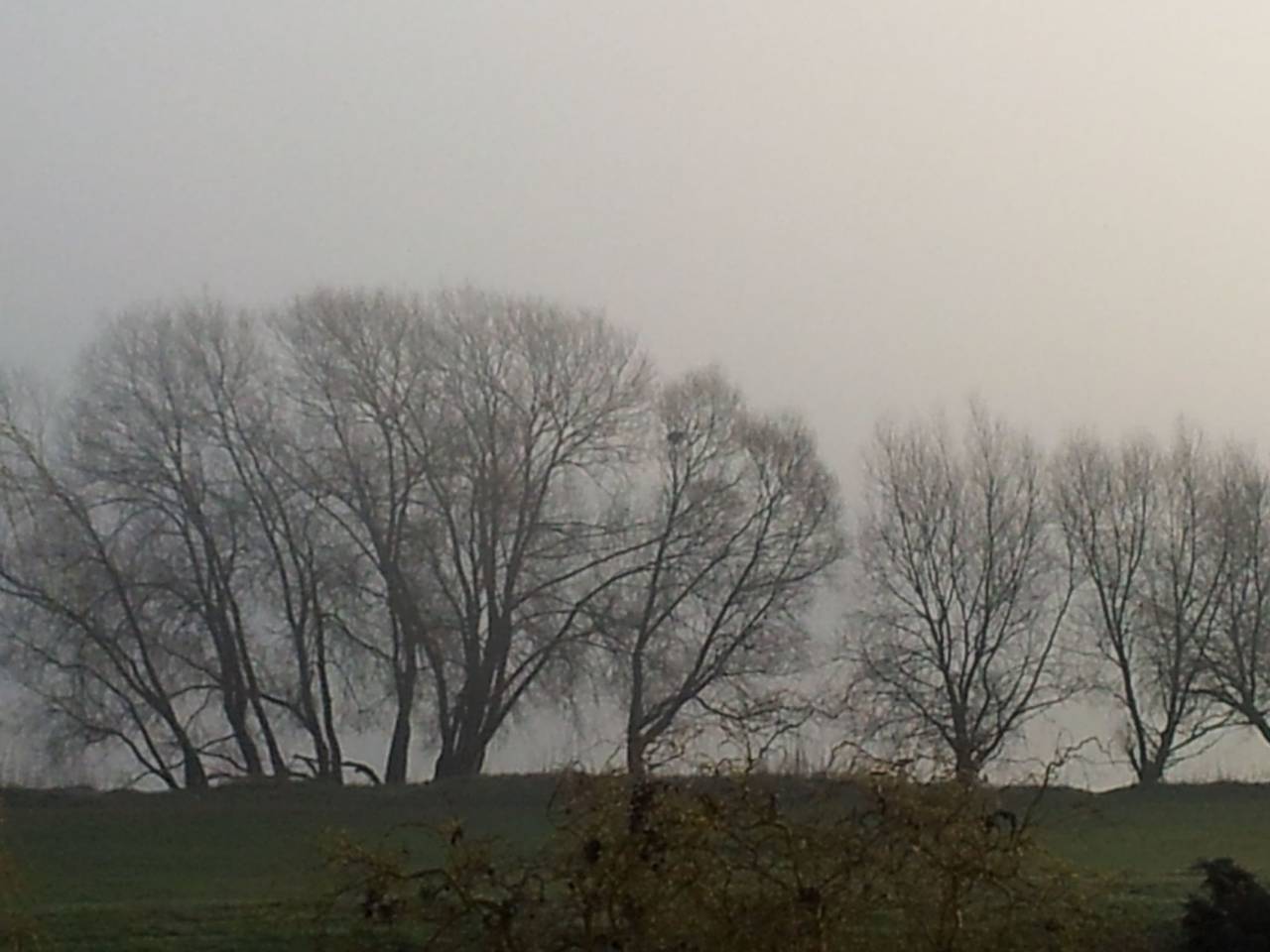 Elbufer 4C in Marschacht, Landkreis Harburg