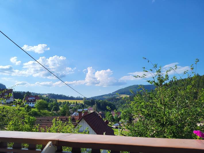 Ferienwohnung für 4 Personen, mit Balkon in Baiersbronn - 2