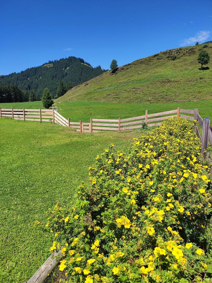 Ferienwohnung für 3 Personen, mit Garten in Mittersill - 3