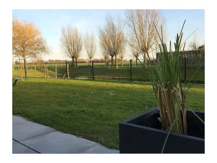 Ferienhaus für 8 Personen, mit Terrasse und Garten sowie Sauna in Scharendijke - 2