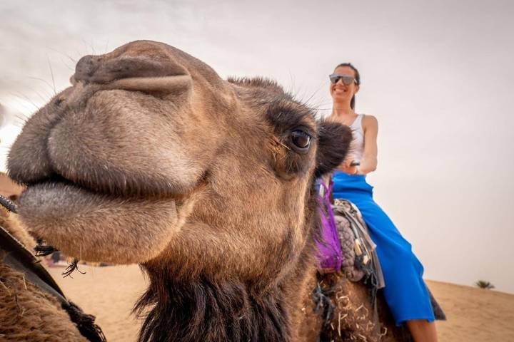 Bungalow für 3 Personen, mit Terrasse und Ausblick in Marokko