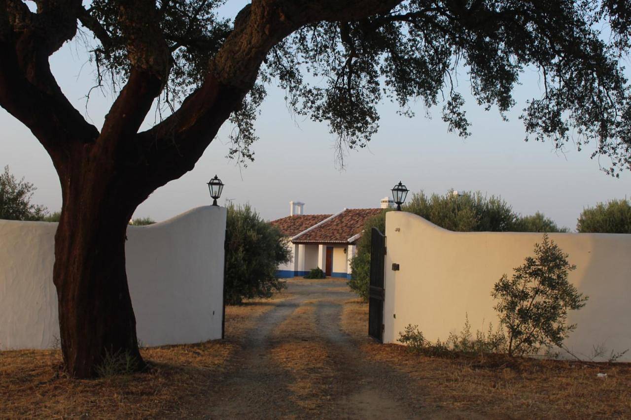 Quinta do Sobreiro in Reguengos de Monsaraz, Distrito de Évora