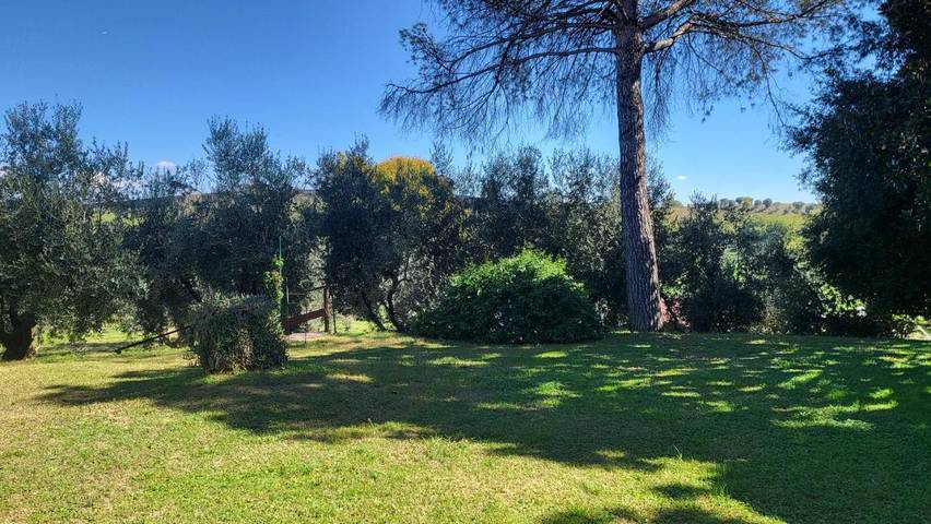 B&b per 3 persone, con Giardino e Piscina a Pomezia