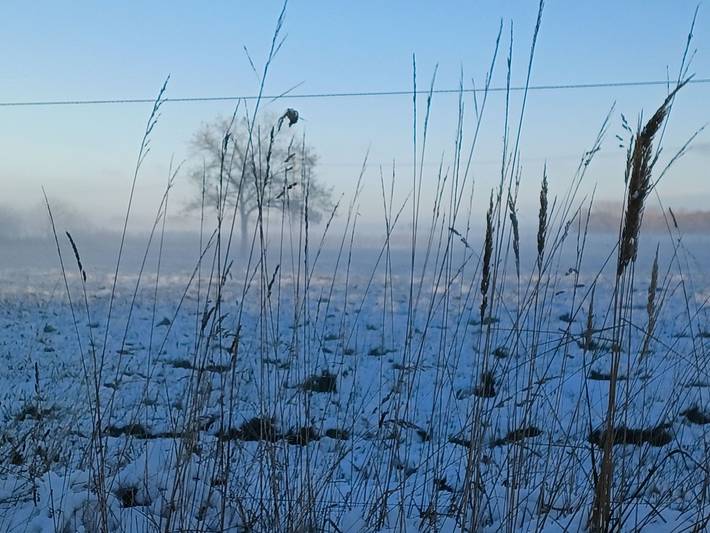 Ferienwohnung für 4 Personen - 1