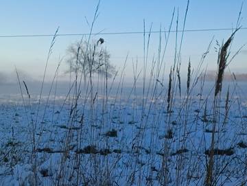Ferienwohnung für 4 Personen in Althagen, Ahrenshoop, Bild 2