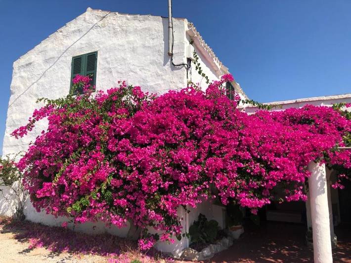 Maison de campagne pour 3 personnes, avec jardin ainsi que terrasse et piscine à Ferreries - 2