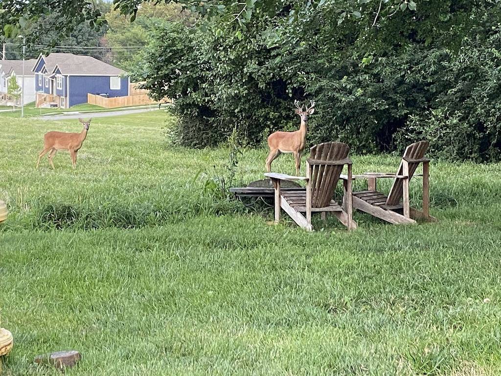 Lovely Townhouse 7 Minutes To The Longview Lake&Beach in Grandview, Missouri