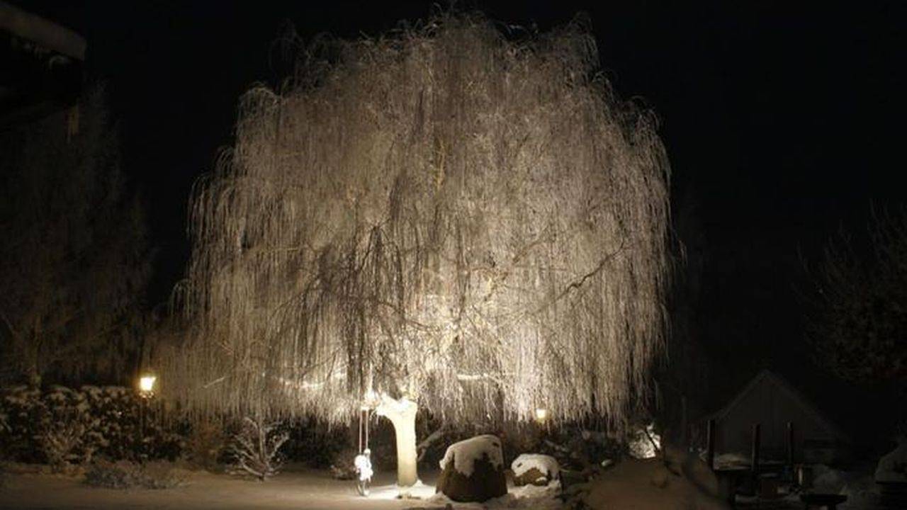 Doppelzimmer für 2 Personen (20 m²) in Neetzow in Liepen, Neetzow-Liepen