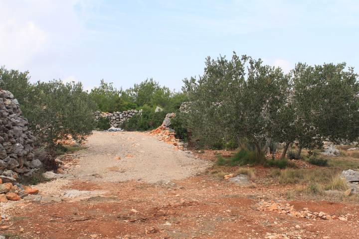 1-Zimmer-Haus mit Terrasse und Meerblick Nevidane, Pasman in Nevidane, Pasman