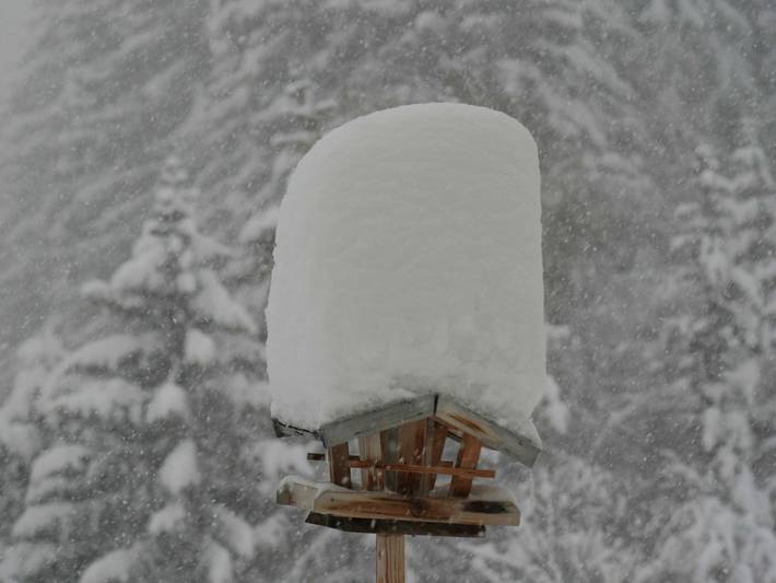Ferienwohnung für 2 Personen, mit Sauna und Garten in Sankt Anton am Arlberg - 4