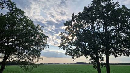 Ferienwohnung für 4 Personen, mit Ausblick und Balkon, mit Haustier in Haselünne