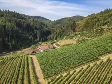 Ferienwohnung für 4 Personen in Oberkirch, Mittlerer Schwarzwald, Bild 3