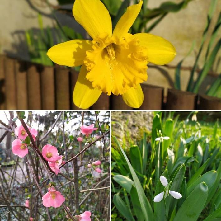 Location de vacances pour 4 personnes, avec jardin et vue à Mortagne-sur-Sèvre - 4