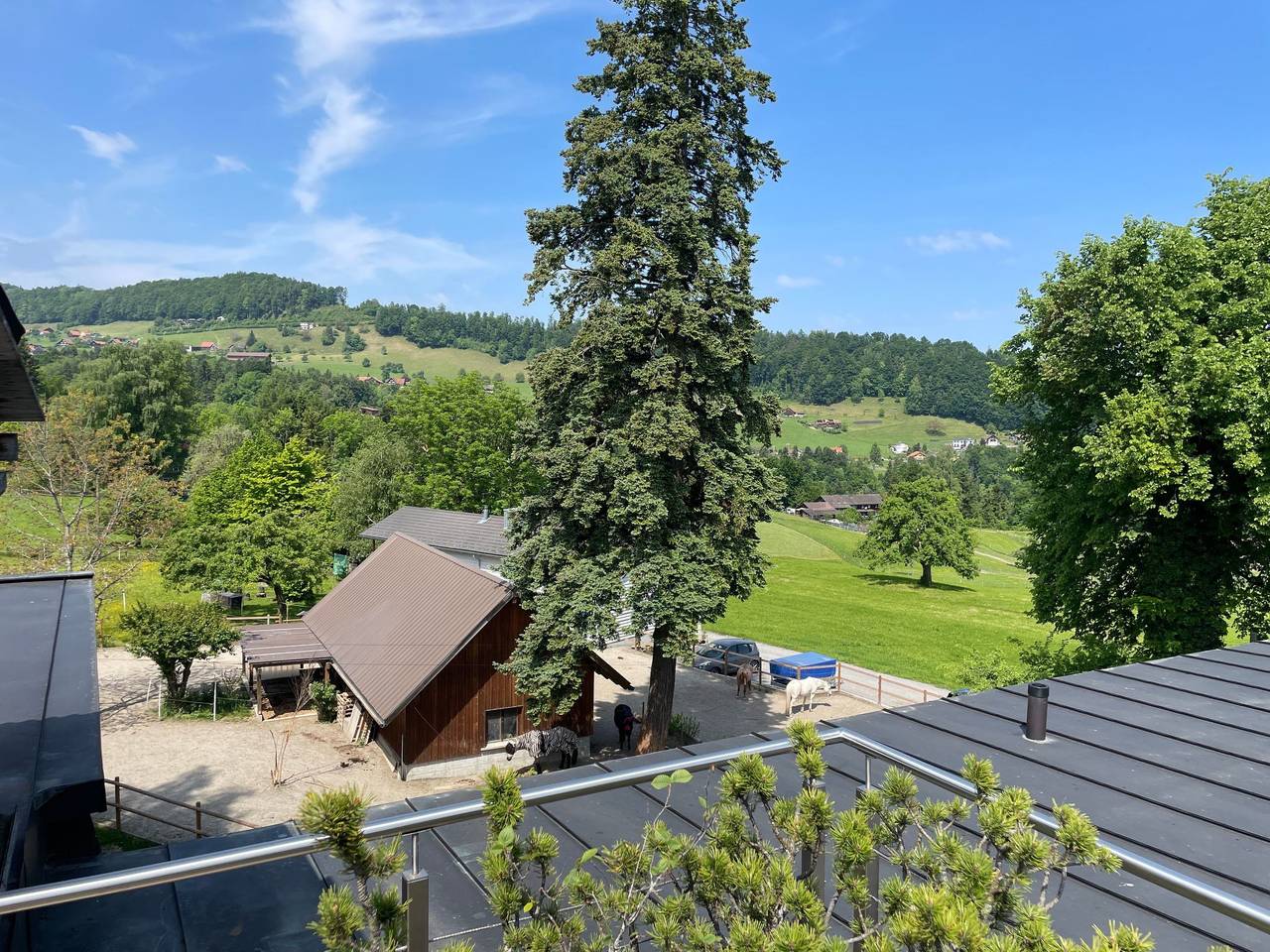 Ganze Wohnung, Wartheim in Heiden, Vorderland