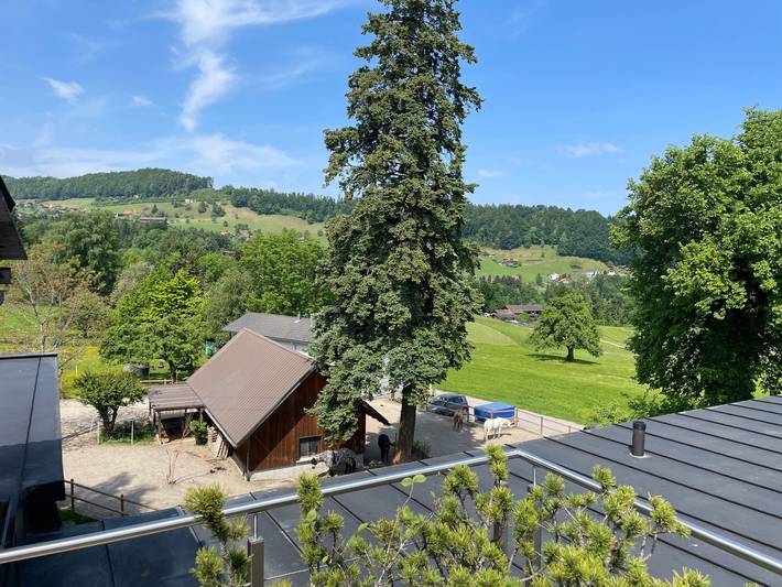 Ganze Wohnung, Wartheim in Schwendi b. Heiden, Heiden