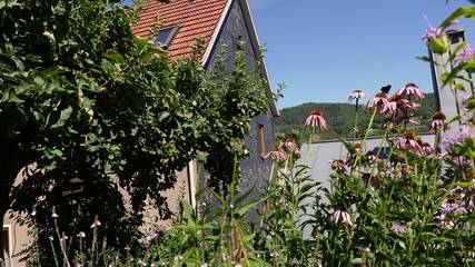 Ferienhaus für 6 Personen, mit Balkon/Terrasse am Rennsteig