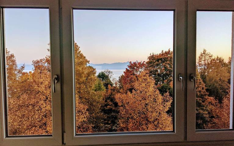 Ganze Ferienwohnung, Ferienwohnungen Vera & Lea - 2-Zimmer Ferienwohnung "Lea", 60 qm in Friedrichshafen, Region Bodensee-Oberschwaben