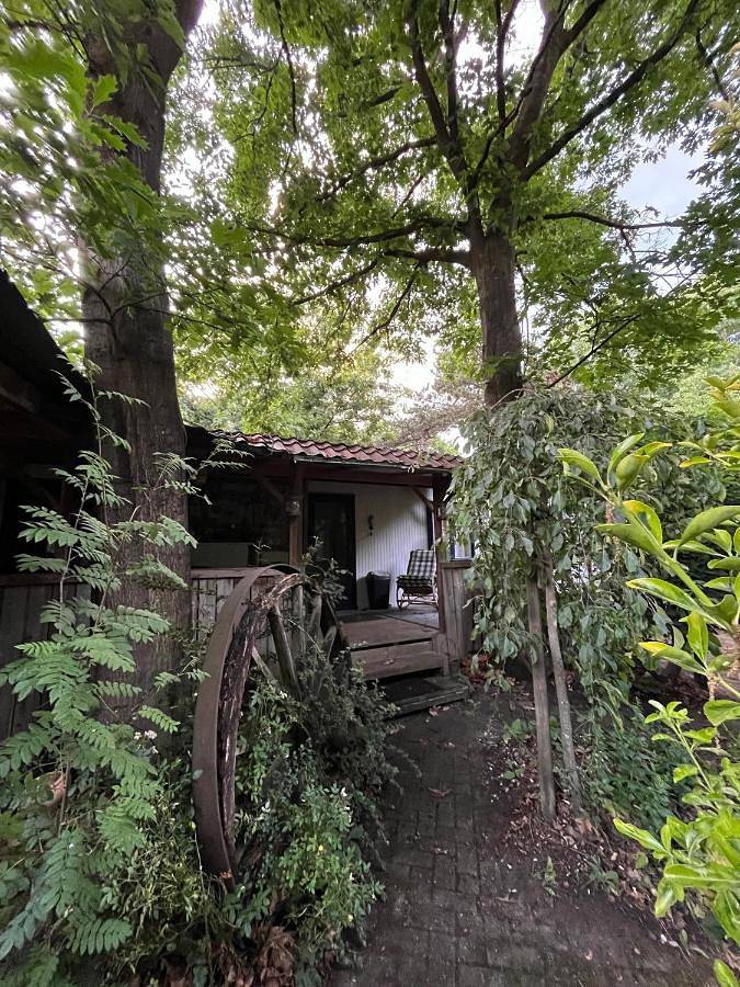 Location de vacances pour 4 personnes, avec piscine et vue ainsi que jardin et terrasse, animaux acceptés dans Zélande (Brabant du Nord)