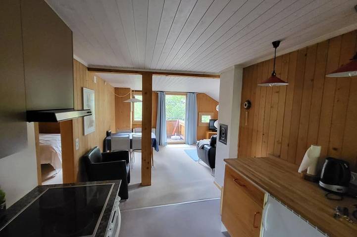 Appartement entier, Wildbach Appartement/Fewo, Dusche oder Bad, Wc, 2 Schlafräume 4-Bett-Wohnung in Lenk im Simmental, Lenk