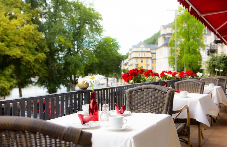 Hotel, mit Terrasse und Sauna in Bad Ems - 3