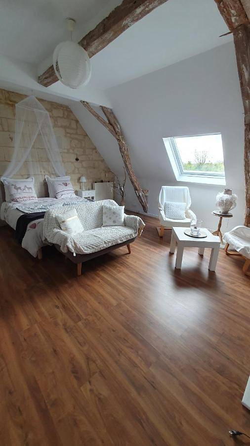 Double Room with Garden View in Grézillé, Région de Saumur
