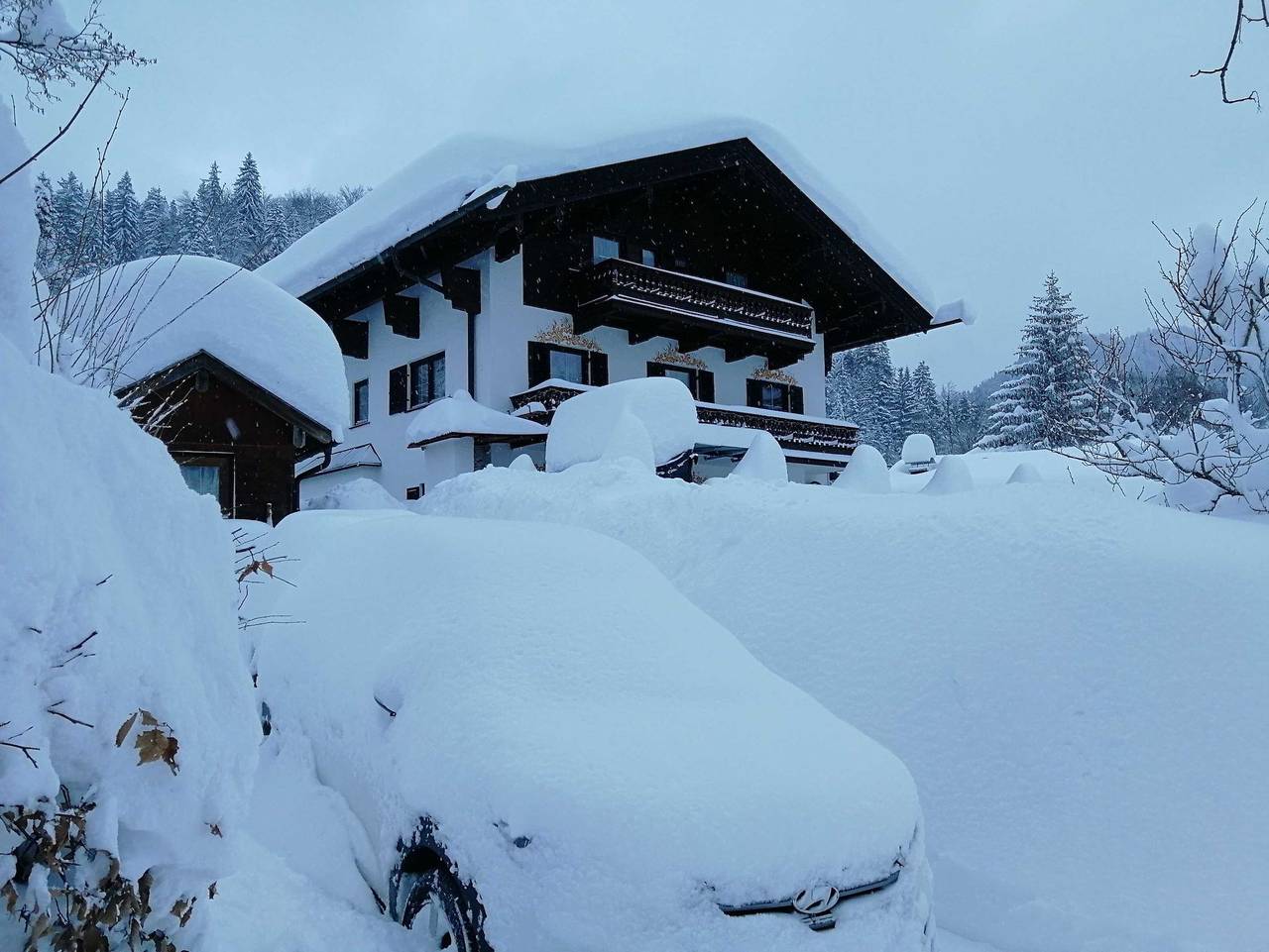 Ganze Ferienwohnung, Haus Lohmann Ferienwohnungen - Ferienwohnung grün in Sudelfeld, Bayrischzell