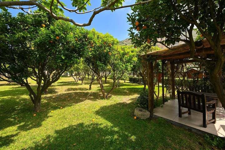 Chambre d’hôte pour 2 personnes, avec vue ainsi que jardin et piscine, animaux acceptés dans Ischia - 4