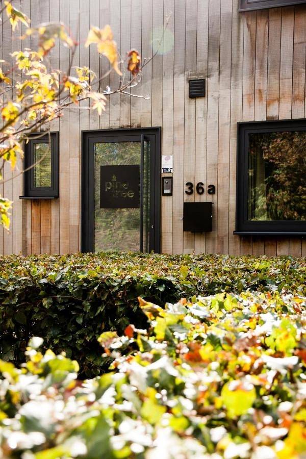 Location de vacances pour 6 personnes, avec jardin et vue, animaux acceptés à Herbeumont - 3