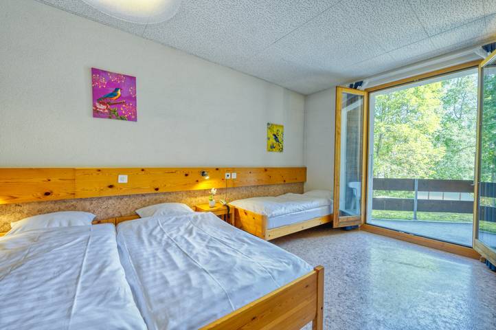 Hôtel Les Sources - Chambre avec balcon in Les Diablerets, Ormont-Dessus (Les Diablerets)