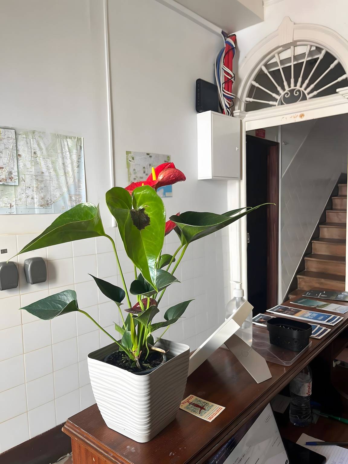 Studio Appartement '01 - Amoreiras Apartments' met Wi-Fi, foto 15