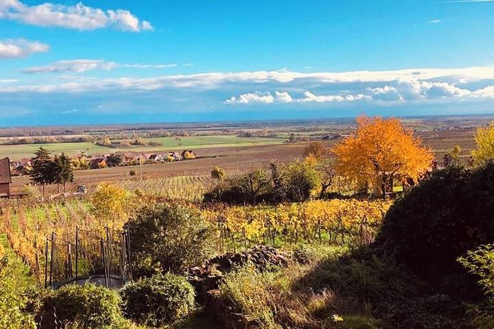 Appartement de vacances pour 4 personnes, avec terrasse - 1