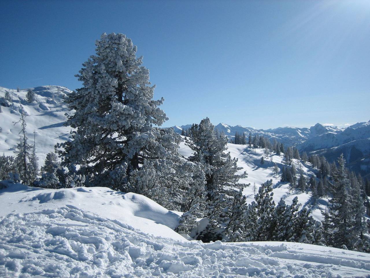 Ferienlodge Edelstein - Ferienhaus Rubin in Forstau, Ski Amadé