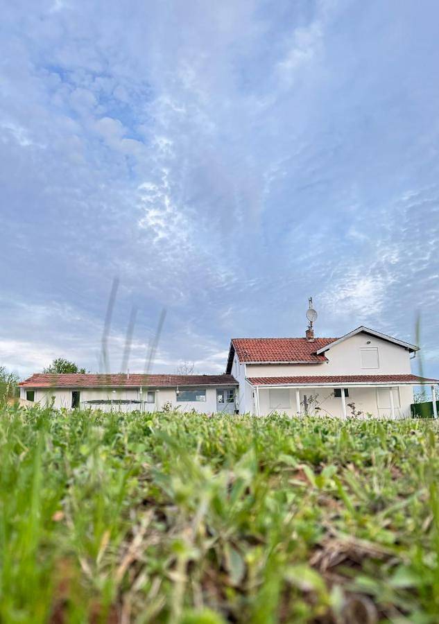 Location de vacances pour 12 personnes, avec piscine ainsi que vue et jardin à Despotovac - 2