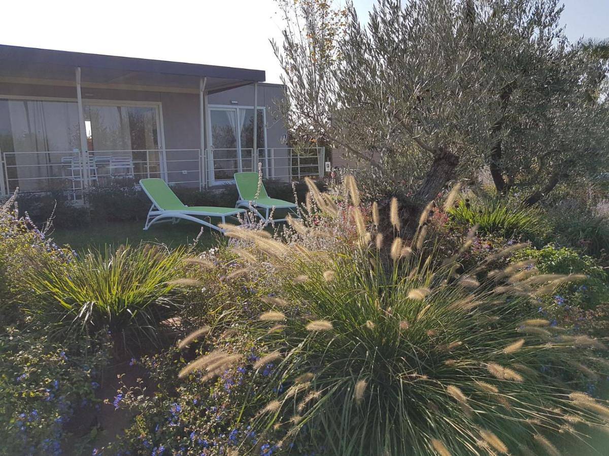 Agricampeggio Oasi del Garda in Lazise, Gardasee-Berge