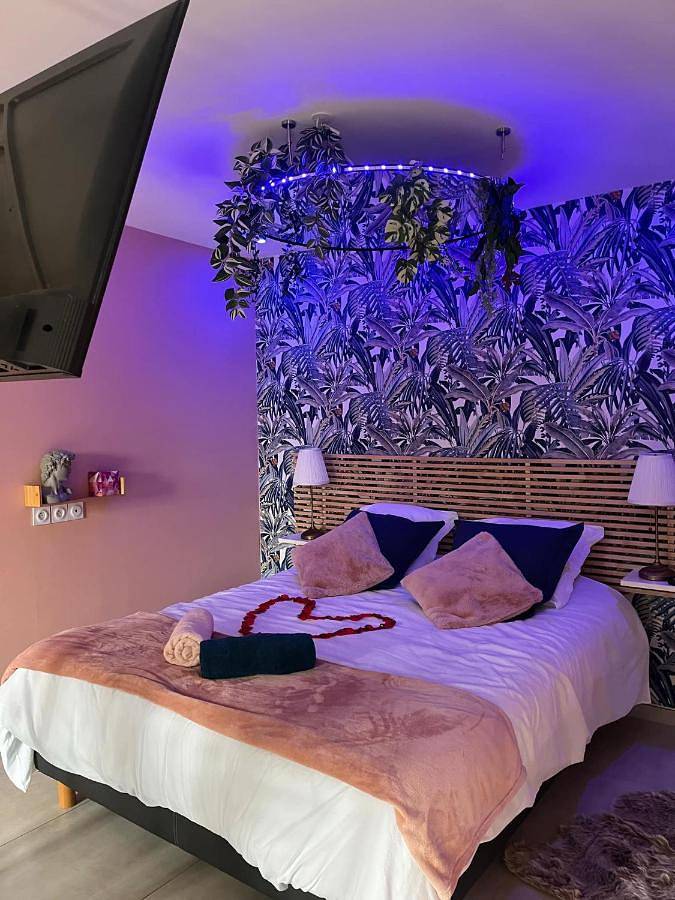 King Room with Spa Bath in Saint-Maurice-l'Exil, Région de Vienne