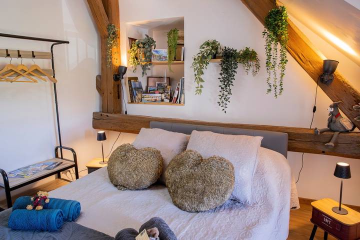 Chambre d’hôte pour 4 personnes dans le Loir-et-Cher - 3