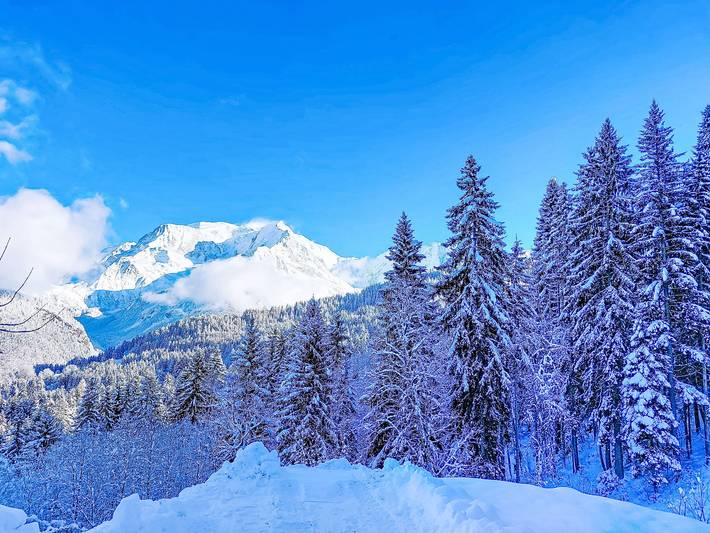 Ferieleilighet for 4 personer, med balkong - 1