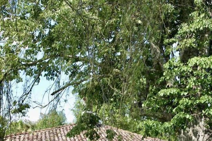 Location de vacances pour 8 personnes, avec jacuzzi, animaux acceptés dans Marions