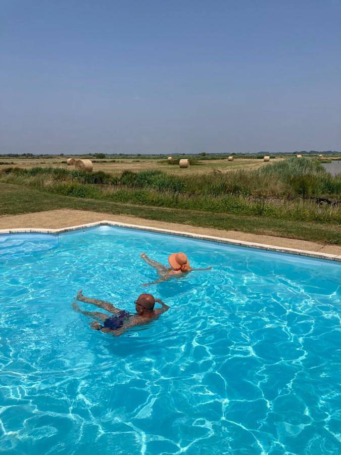 Maison de campagne pour 4 personnes, avec jardin ainsi que vue et piscine à Bois-de-Céné - 2