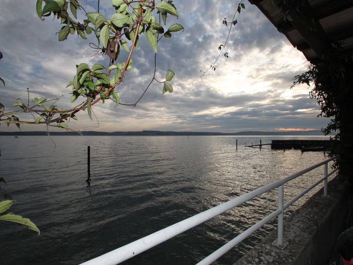 Pension für 2 Personen, mit Balkon/Terrasse und Terrasse sowie Garten in Meersburg - 4